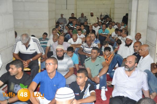 bazsalah lud 712 (7).JPG